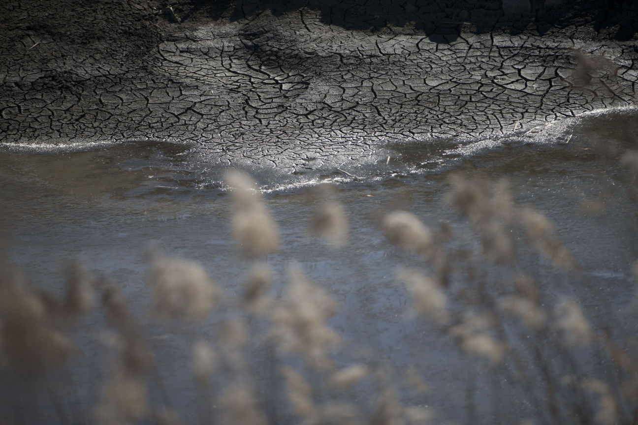 Duke Energy coal ash pond in Eden